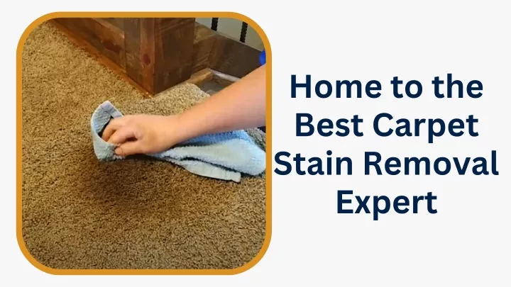 home to the best carpet stain removal expert