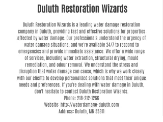duluth restoration wizards