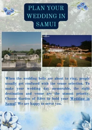 Plan your Wedding in Samui!