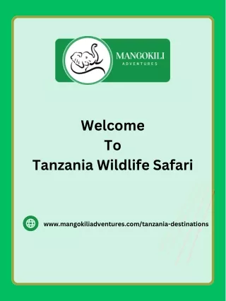 Wildlife Wonderland: Explore Tanzania's Best Safari Destinations
