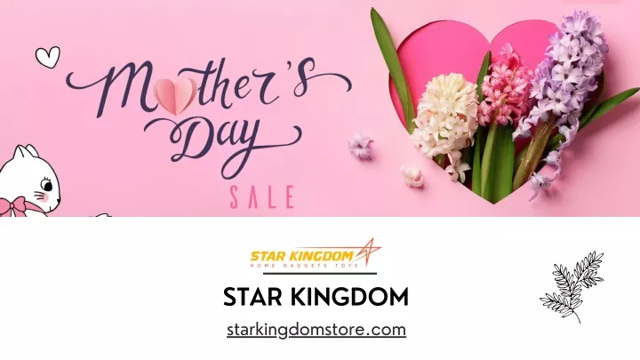 star kingdom starkingdomstore com