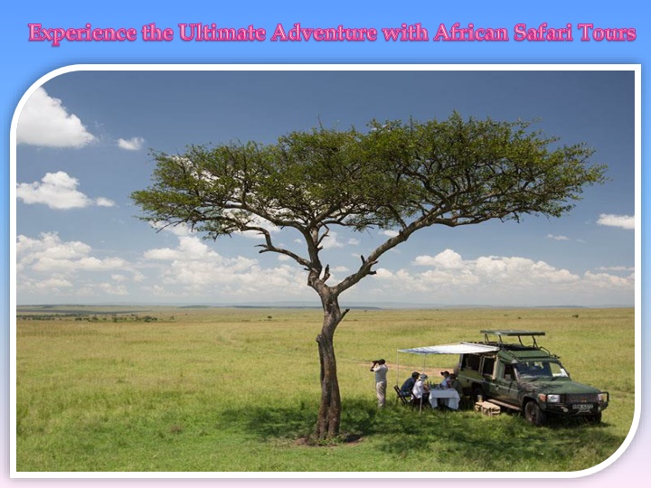 experience the ultimate adventure with african