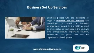 Business Set Up Services