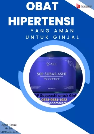 Obat Hipertensi yang aman Untuk Ginjal WA 087893811922