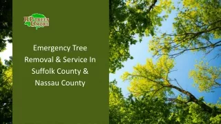Professional Tree Removal, Pruning & Care Services Long Island