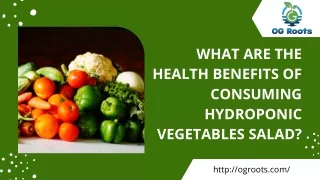 What Are The Health Benefits of Consuming Hydroponic Vegetables Salad