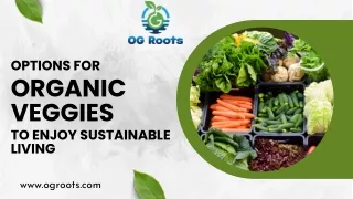 Options for Organic Veggies to Enjoy Sustainable Living