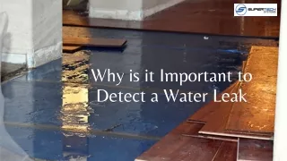 Why is it Important to Detect a Water Leak