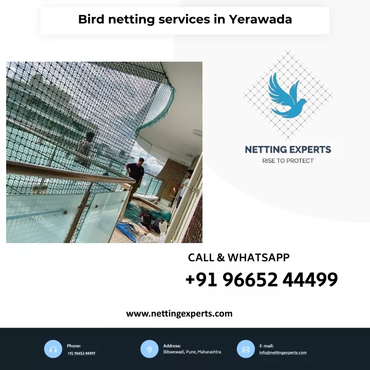 bird netting services in yerawada