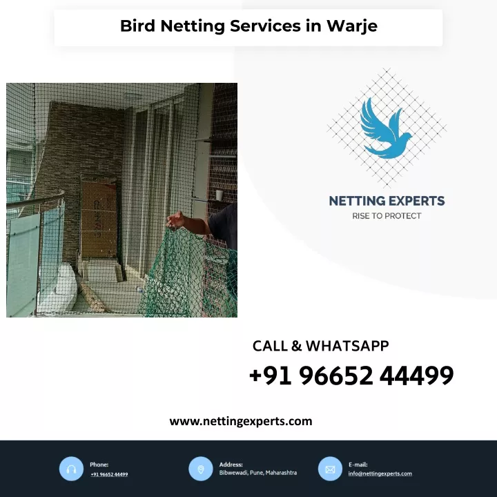 bird netting services in warje