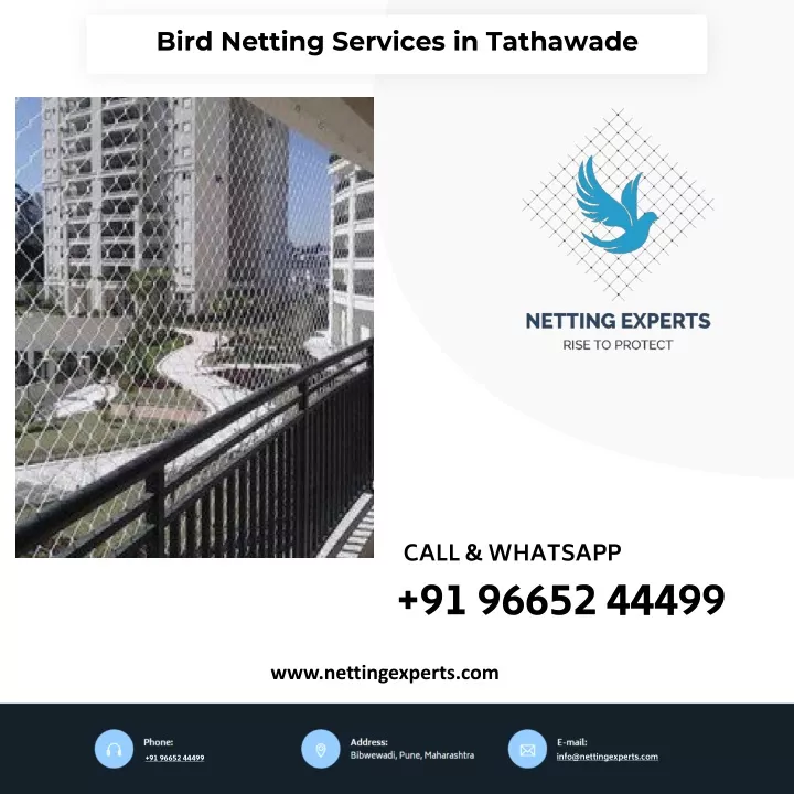 bird netting services in tathawade