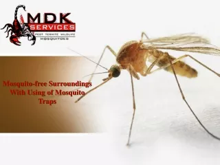 mosquito free surroundings with using of mosquito traps