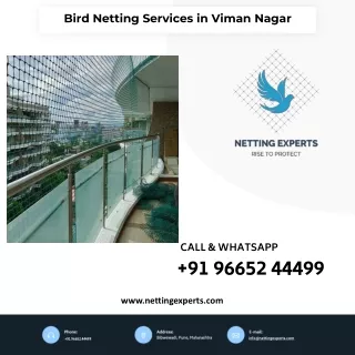 bird netting services in viman nagar