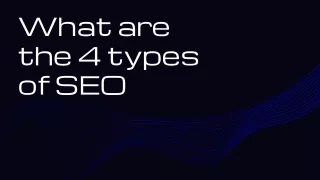 what are the 4 types of seo
