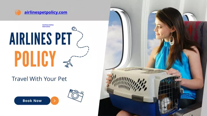 PPT - Airlines Pet Travel Policy PowerPoint Presentation, free download ... - Pet Travel Airline Policy