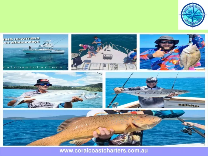 www coralcoastcharters com au