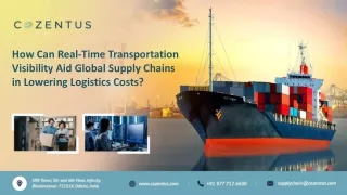 How Can Real-Time Transportation Visibility Aid Global Supply Chains in Lowering Logistics Costs