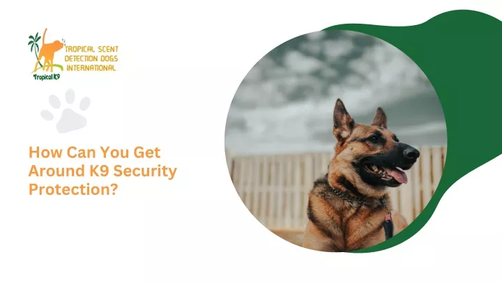 how can you get around k9 security protection