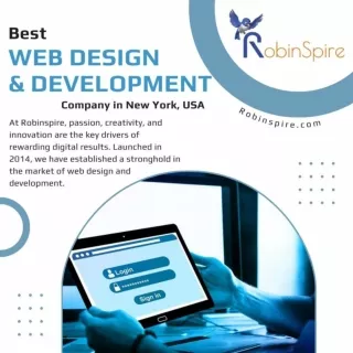 Best Web Design and Development Company | RobinSpire.com