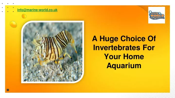 info@marine world co uk