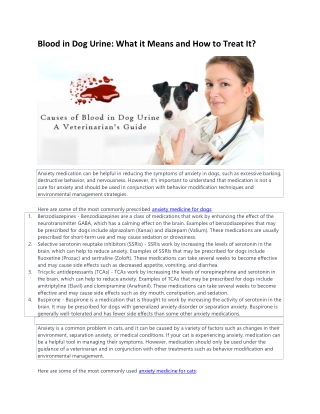 blood in dog urine, dog peeing blood