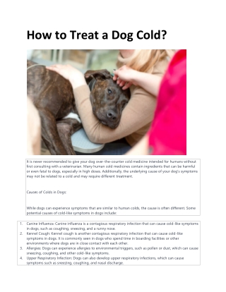 dog cold medicine