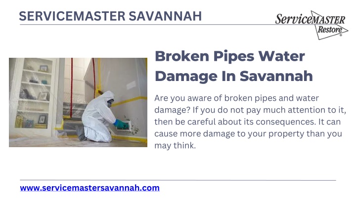 servicemaster savannah