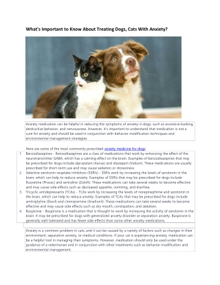 anxiety medicine for dogs