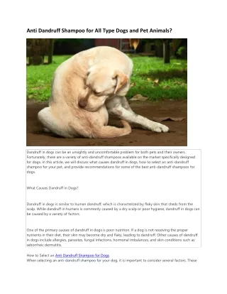 anti dandruff shampoo for dogs