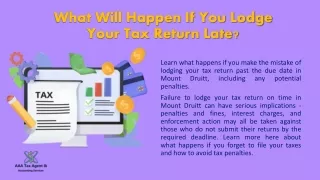 what will happen if you lodge your tax return late