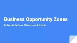Business Opportunity Zones
