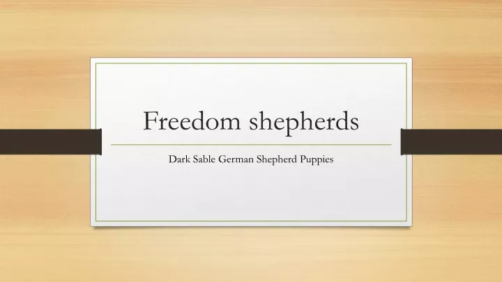 freedom shepherds