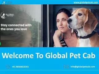 www globalpetcab com