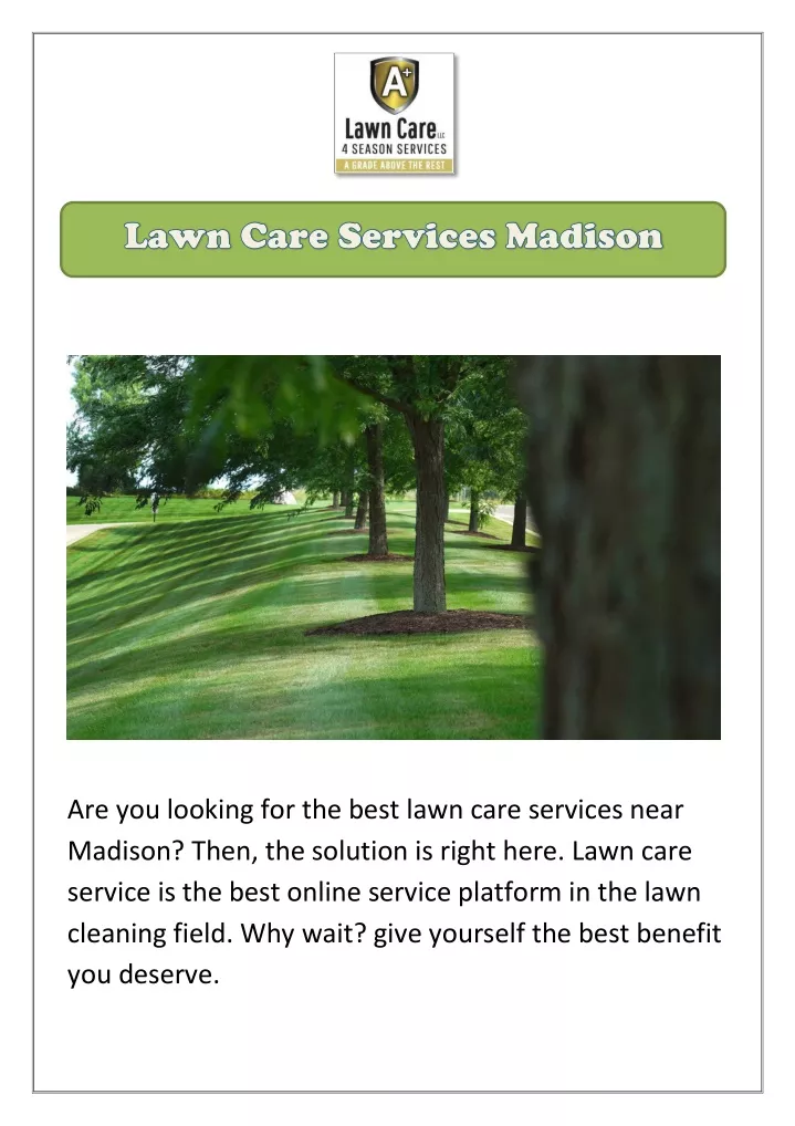 are you looking for the best lawn care services
