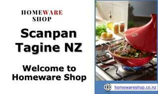 scanpan tagine nz