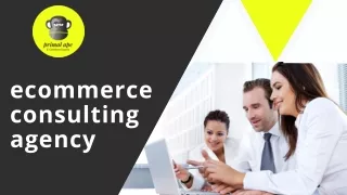 Ecommerce Consulting Agency | Primalapeconsulting