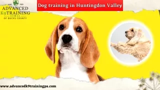 Dog Training in Huntingdon Valley– Advanced K9 Training