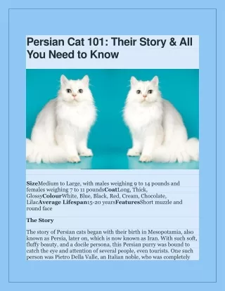 Persian Cat 101: Their Story & All You Need to Know