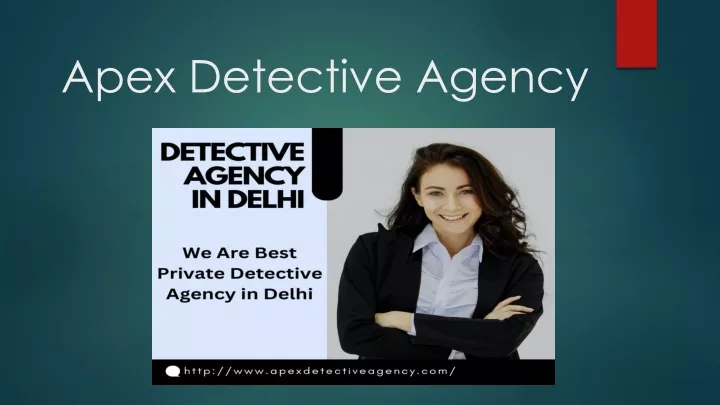 apex detective agency