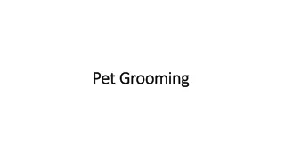 Pet Grooming