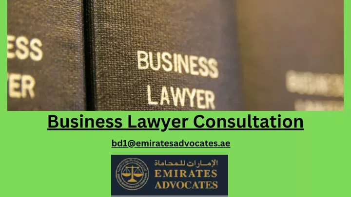 business lawyer consultation
