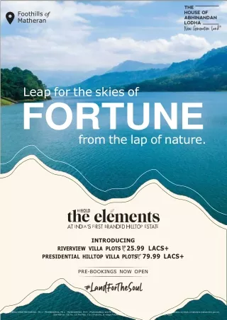 The elements_Investment brochure