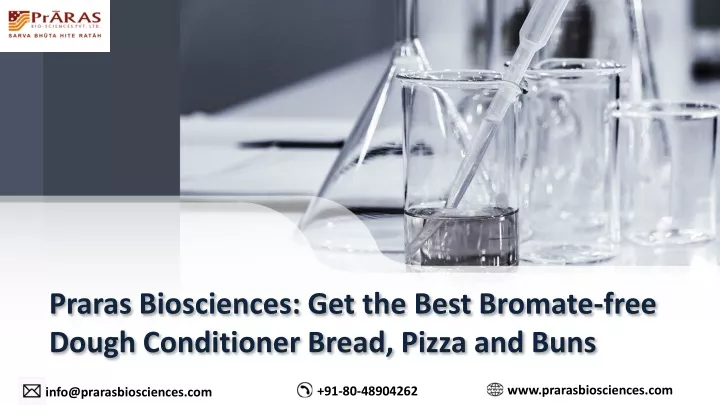praras biosciences get the best bromate free dough conditioner bread pizza and buns