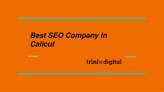 best seo company in calicut
