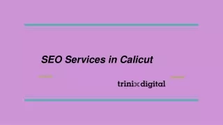 seo services in calicut