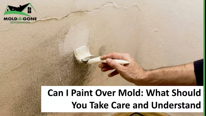 PPT - Can I Paint Over Mold: What Should You Take Care and Understand ...