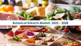 botanical extracts market 2022 2028