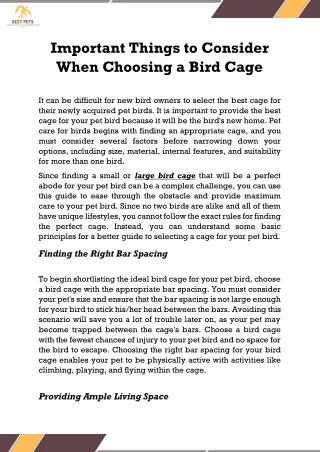 Important Things to Consider When Choosing a Bird Cage