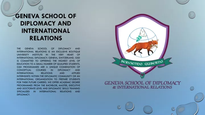 geneva school of diplomacy and international relations