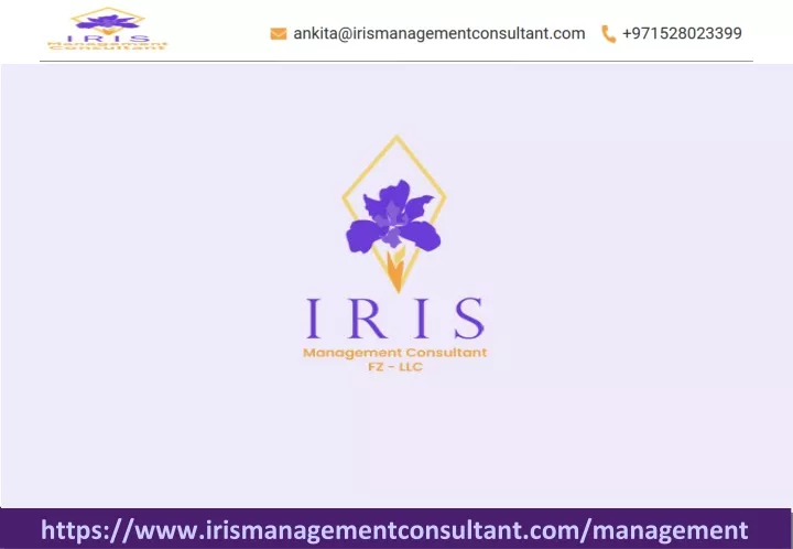 https www irismanagementconsultant com management